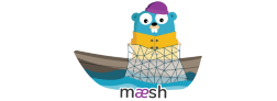 Maesh logo